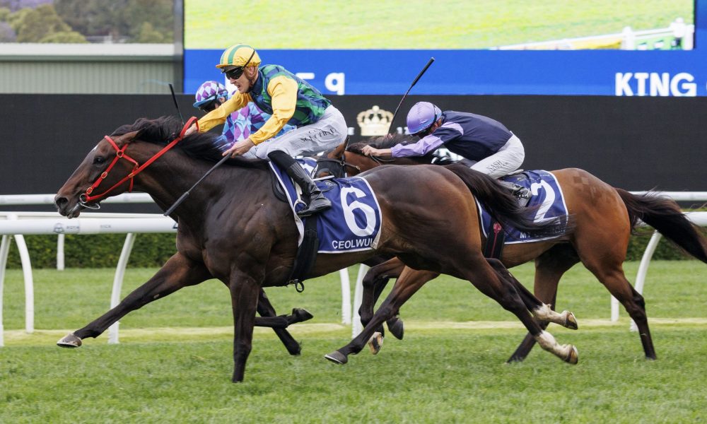 辽源市西安区乒乓球学校：“小乒乓”成就大梦想.