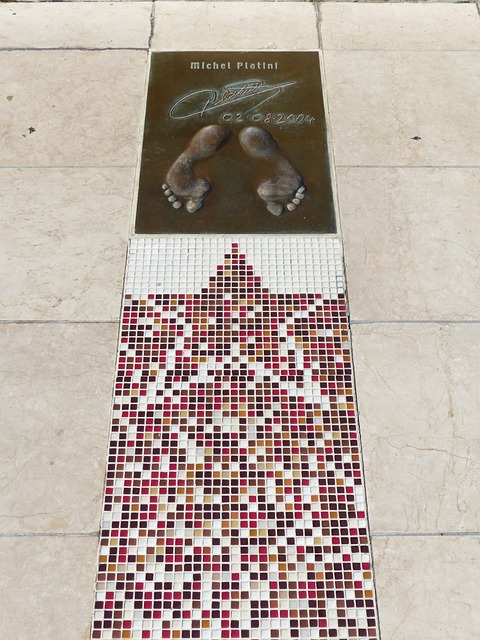 泰達外援巴斯蒂安斯離隊 啟程前往德國療傷.